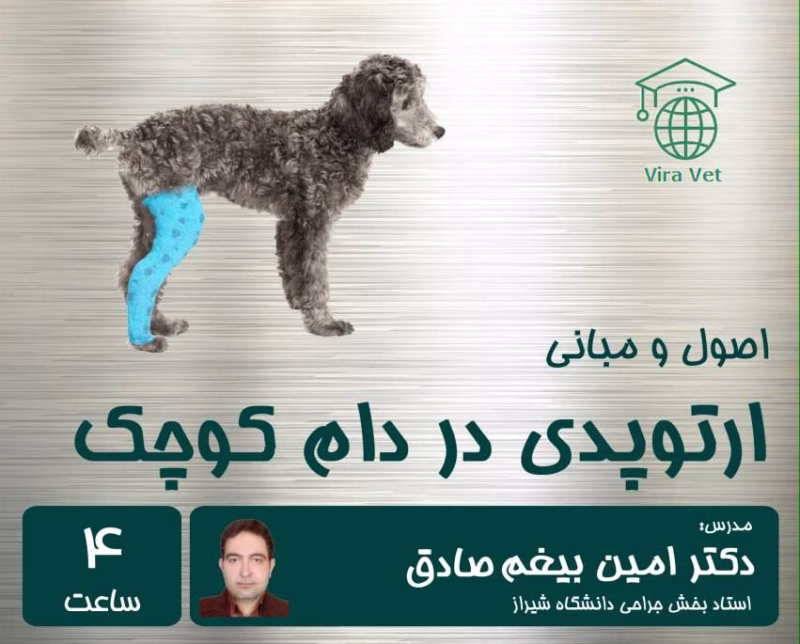 اصول و مبانی ارتوپدی در دام کوچک