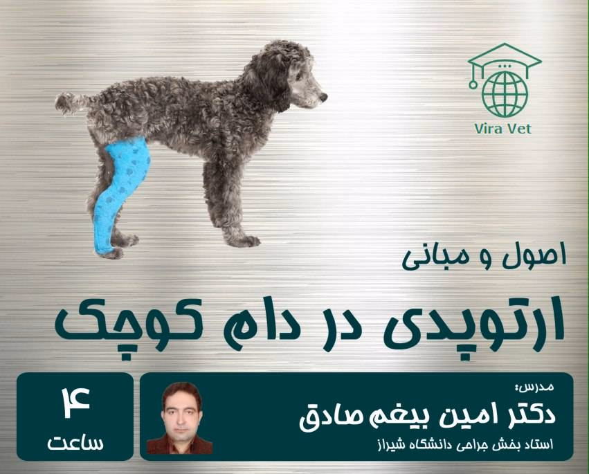 ارتوپدی اصول و مبانی ارتوپدی در دام کوچک - Image 1