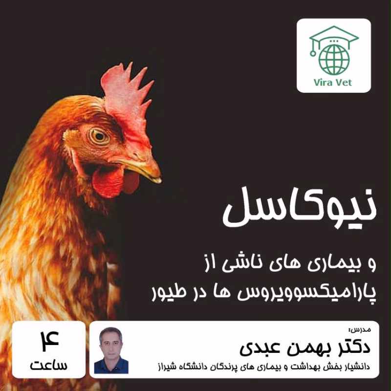 نیوکاسل و بیماری های ناشی از پارامیکسوویروس ها در طیور