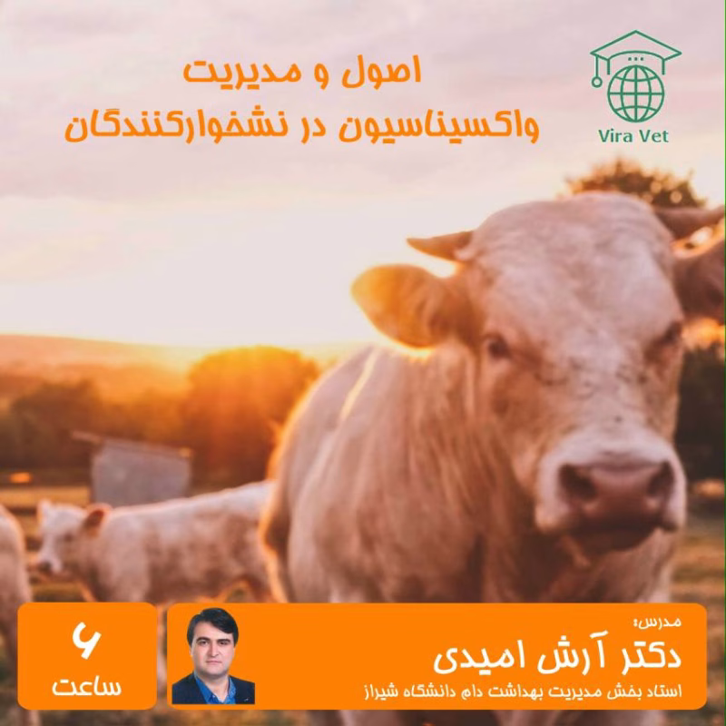 اصول و مدیریت واکسیناسیون در نشخوارکنندگان