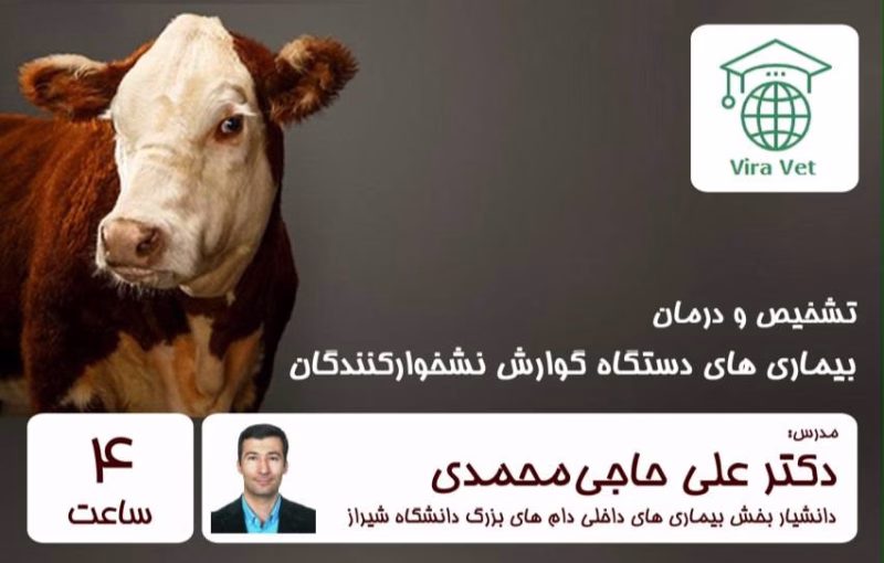 تشخیص و درمان بیماری های دستگاه گوارش نشخوارکنندگان