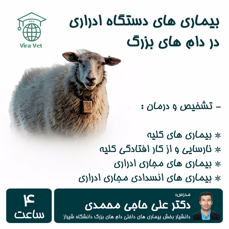 بیماری های دستگاه ادراری در دام های بزرگ Urinary System Diseases in Large Animals