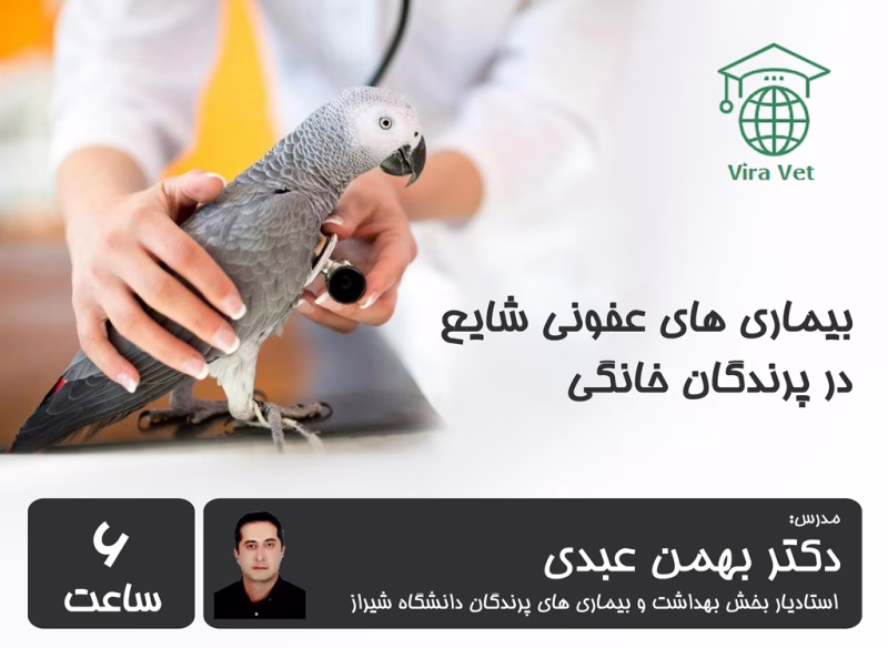 بیماری های عفونی شایع در پرندگان خانگی Common Infectious Diseases in Pet Birds