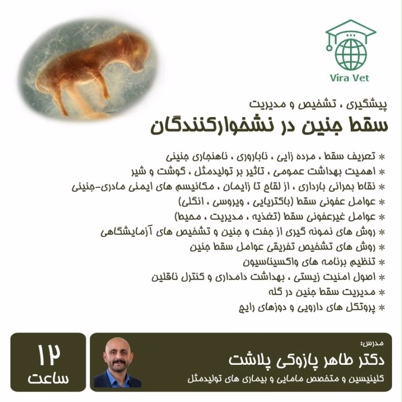 سقط جنین در نشخوارکنندگان Abortion in Ruminants