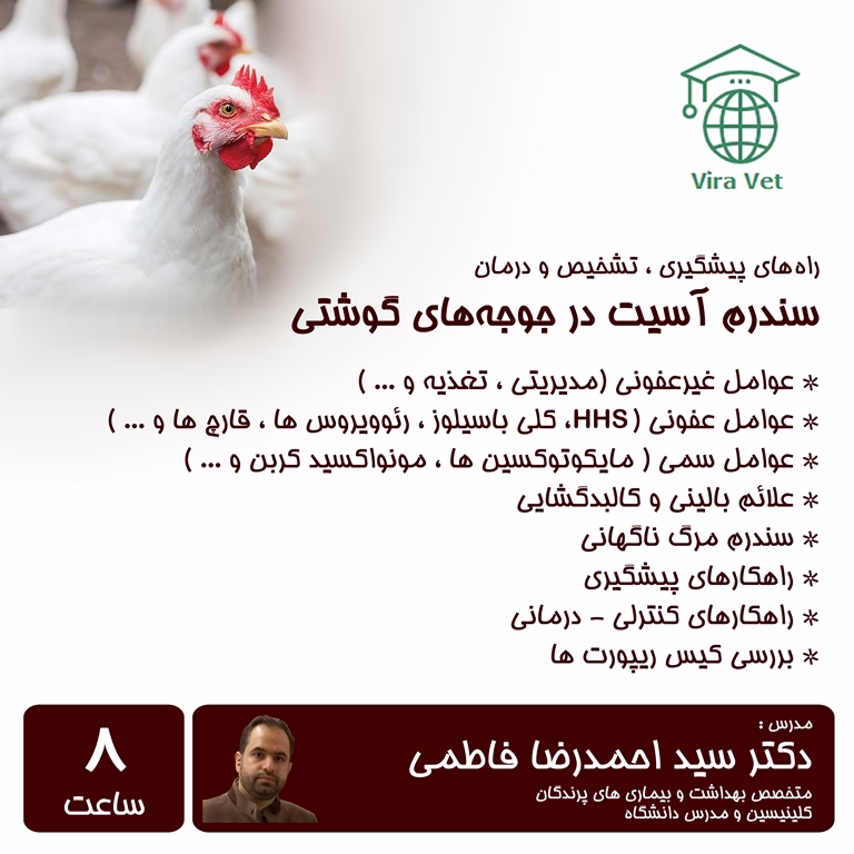 سندرم آسیت در جوجه های گوشتی Prevention & Therapeutic Control Strategies of Pulmonary Hypertension Syndrome & Ascitis