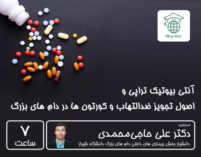 آنتی بیوتیک تراپی و اصول تجویز ضدالتهاب و کورتون ها در دام های بزرگ Antibiotic, Analgesic & Anti-inflammatory Therapy in Large Animals