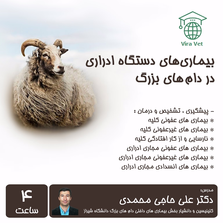 بیماری های دستگاه ادراری در دام های بزرگ Urinary System Diseases in Farm Animals