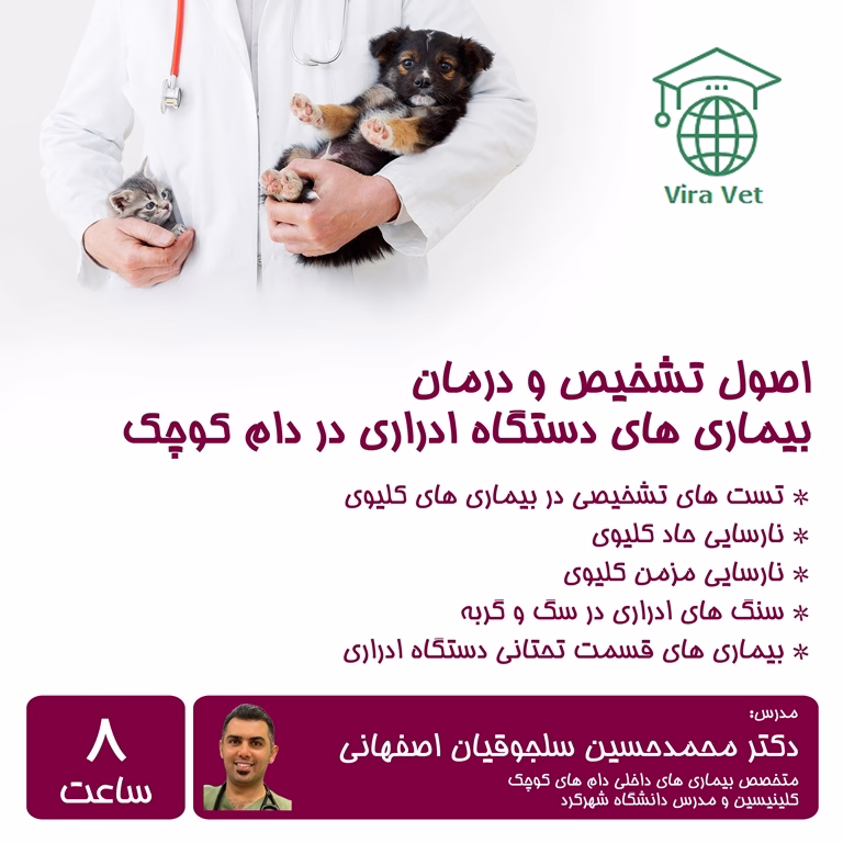 اصول تشخیص و درمان بیماری های دستگاه ادراری در دام کوچک Diagnosis & Treatment of Urinary System Diseases in Small Animals