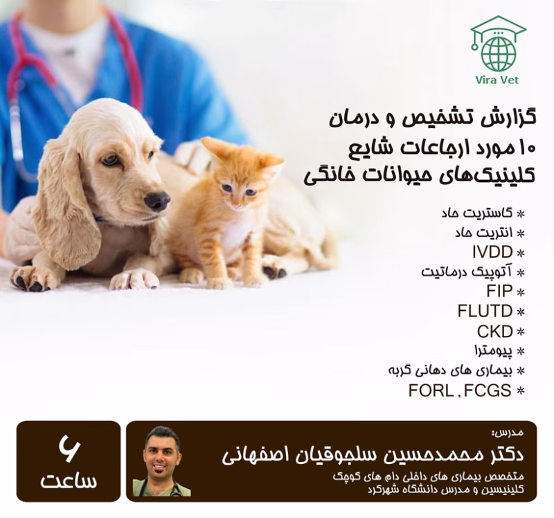 گزارش تشخیص و درمان 10 مورد ارجاعات شایع کلینیک های حیوانات خانگی Case Report of 10 Referrals of Pet Clinics