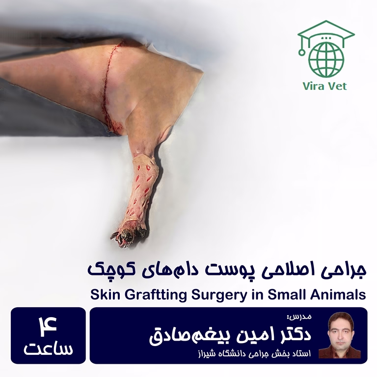 جراحی اصلاحی پوست در دام های کوچک (اصول و ملاحظات) Skin Graftting Surgery in Small Animals