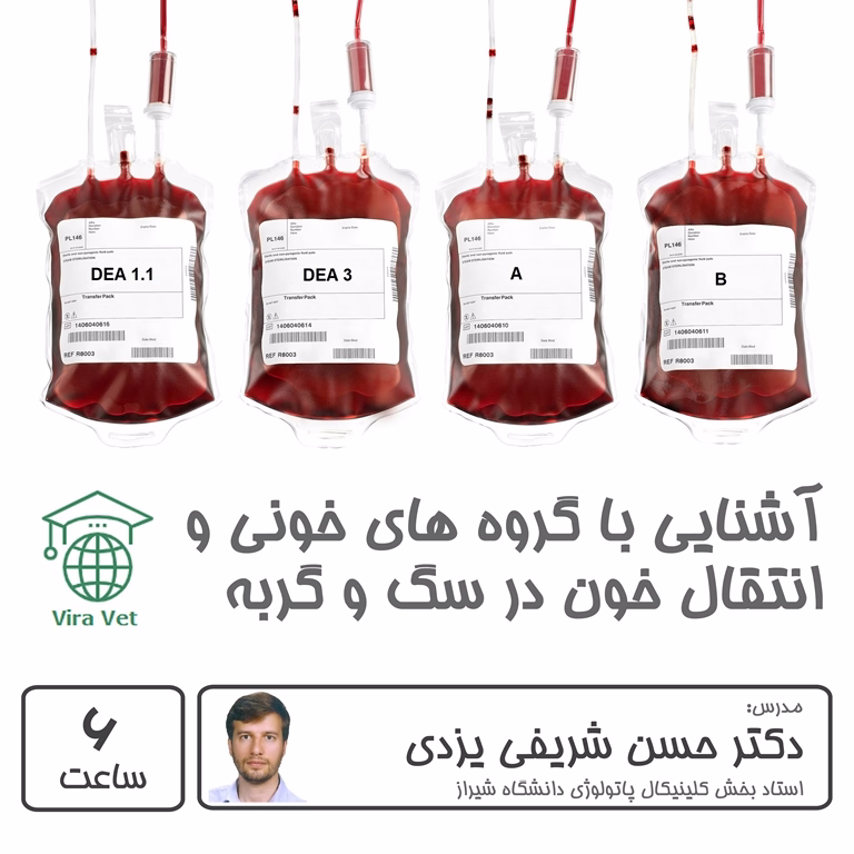 آشنایی با گروه های خونی و انتقال خون در سگ و گربه
