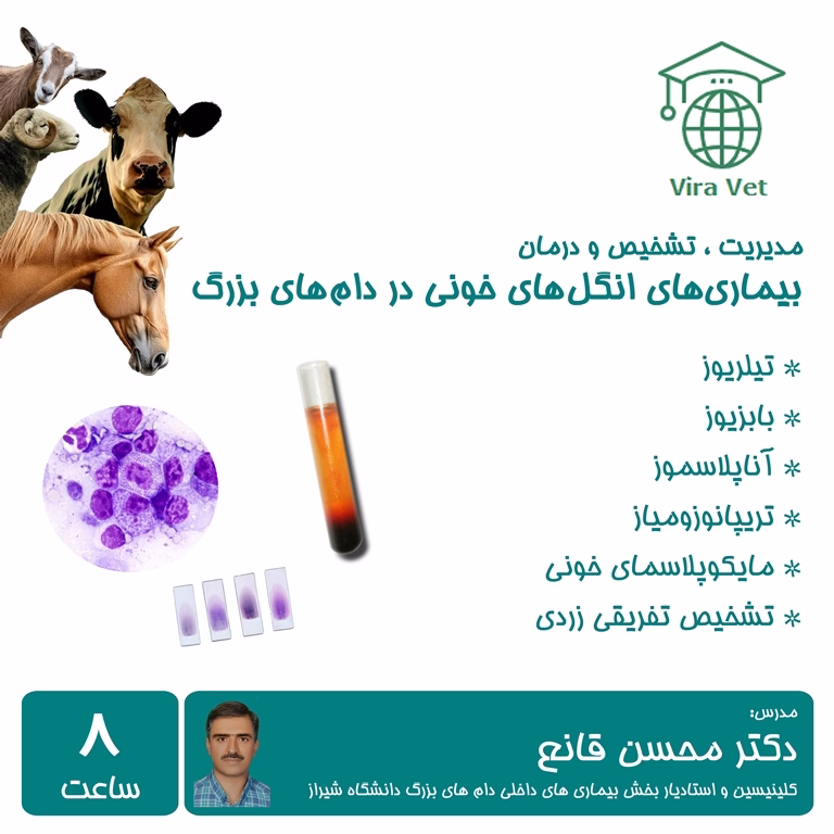 بیماری های انگل های خونی در دام های بزرگ Hemoparasitic Diseases in Large Animals