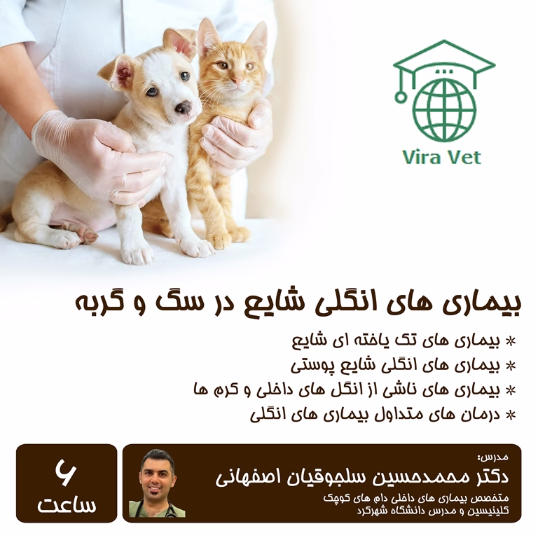 بیماری های انگلی شایع در سگ و گربه Common Parasitic Diseases in Dogs and Cats