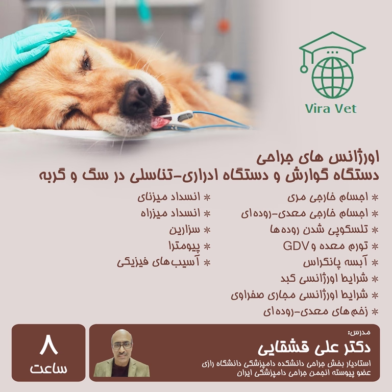 اورژانس های جراحی دستگاه گوارش و ادراری-تناسلی در سگ و گربه Gastrointestinal & Urogenital Surgical Emergencies in Dog & Cat