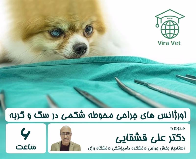 اورژانس های جراحی محوطه شکمی در سگ و گربه