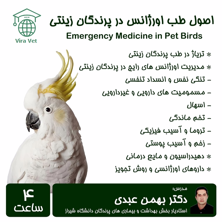 اصول طب اورژانس در پرندگان زینتی Emergency Medicine in Pet Birds