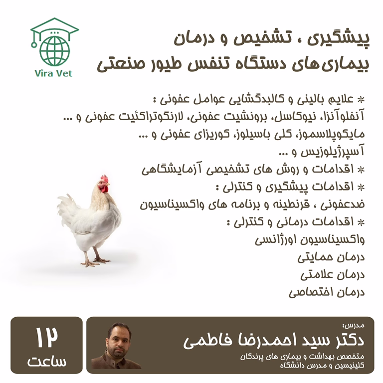 بیماری های دستگاه تنفس طیور صنعتی Respiratory System Diseases in Poultry