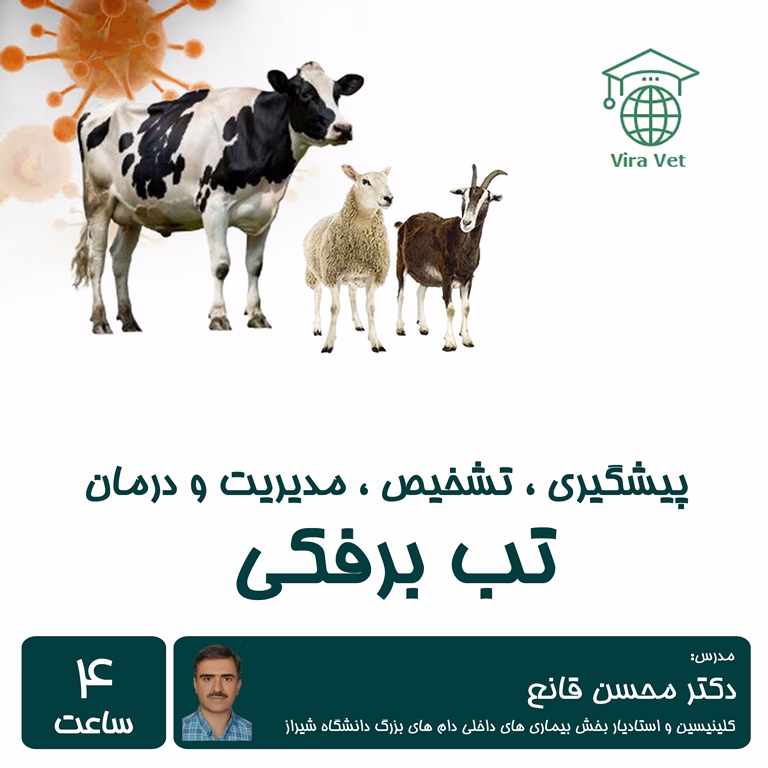 تب برفکی Foot and Mouth Disease