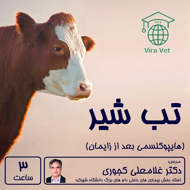 تب شیر Milk Fever