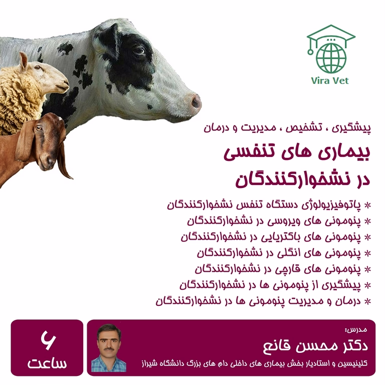 بیماری های تنفسی در نشخوارکنندگان Respiratory Diseases in Ruminants