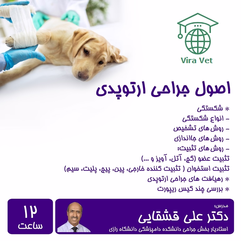 اصول جراحی ارتوپدی Principles of Orthopedic Surgery