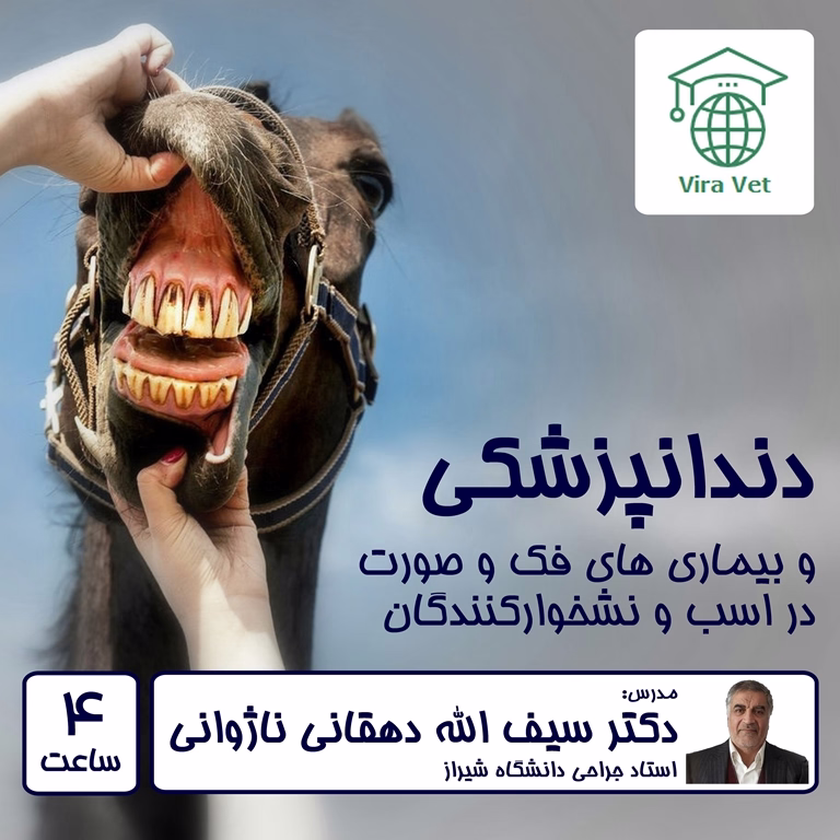 دندانپزشکی و بیماری های فک و صورت در اسب و نشخوارکنندگان