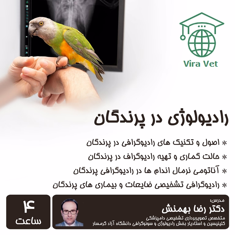 رادیولوژی در پرندگان Avian Radiology