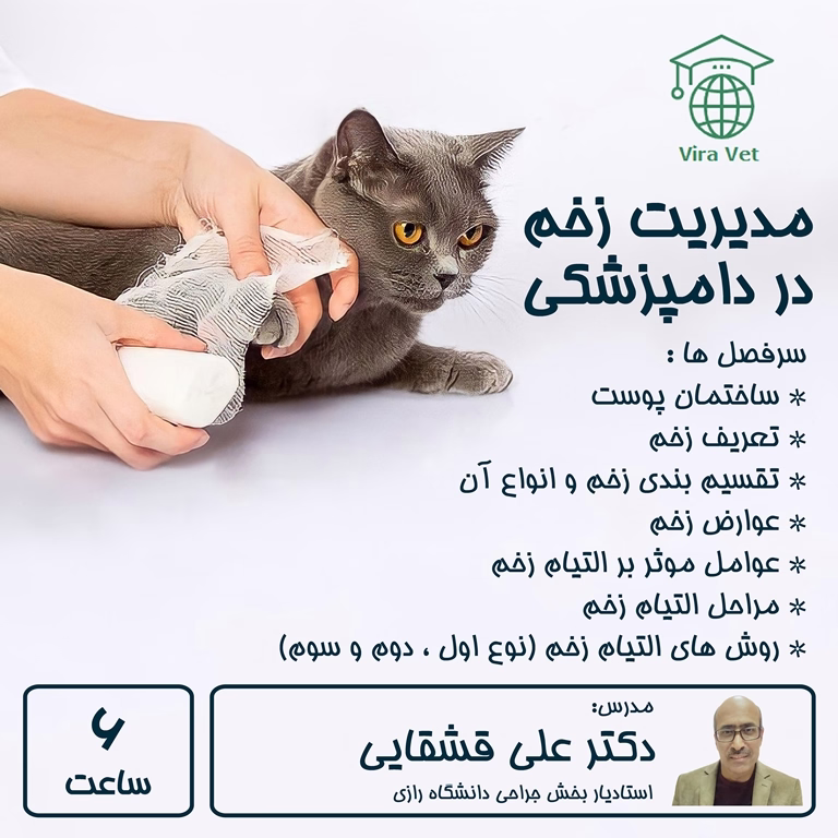 مدیریت زخم در دامپزشکی