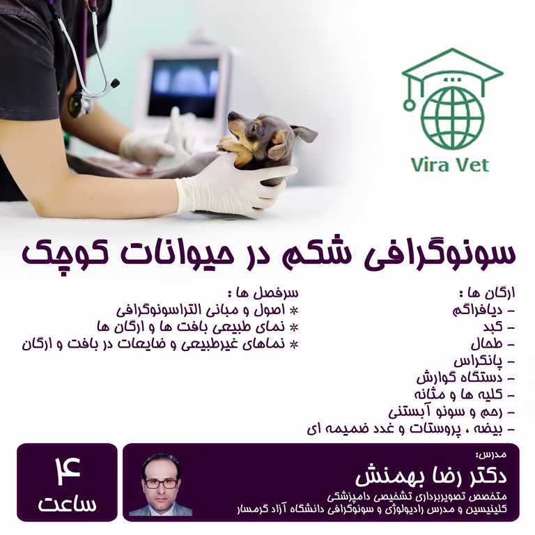 سونوگرافی شکم در حیوانات کوچک Abdominal Ultrasound in Small Animals