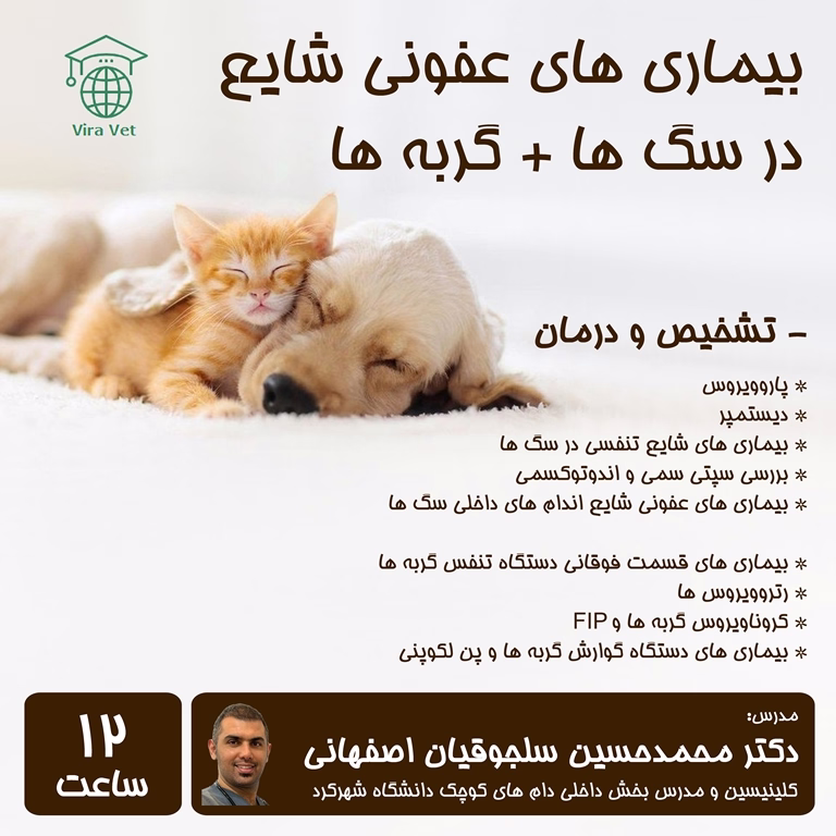 بیماری های عفونی شایع در سگ ها و گربه ها