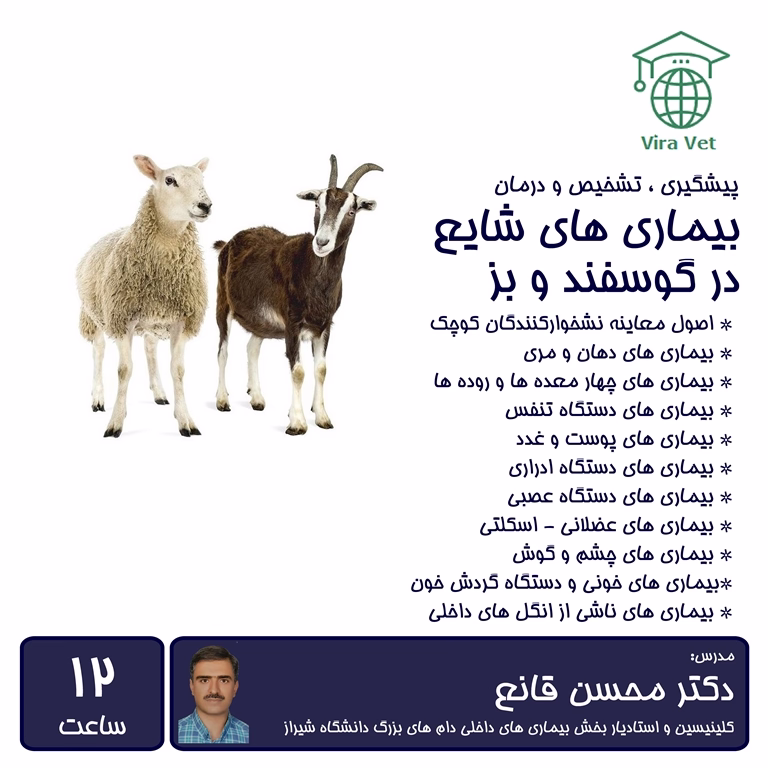 بیماری های شایع در گوسفند و بز Common Diseases in Small Ruminants