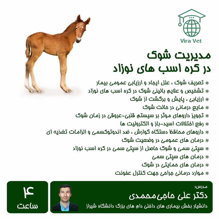 مدیریت شوک در کره اسب های نوزاد Shock Management in Neonatal Foals