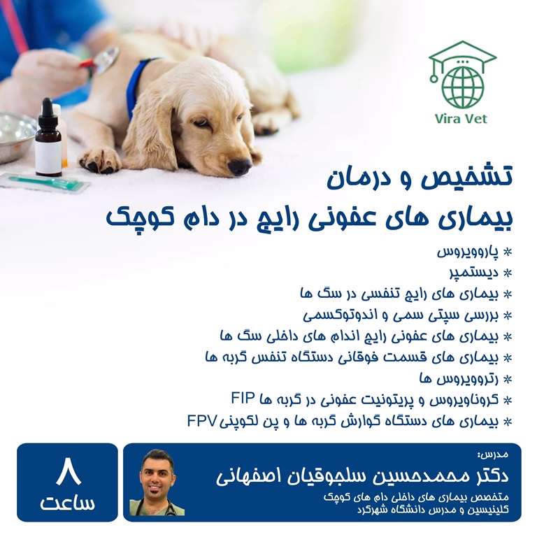 تشخیص و درمان بیماری های عفونی رایج در دام کوچک Common Infectious Diseases in Pet Animals