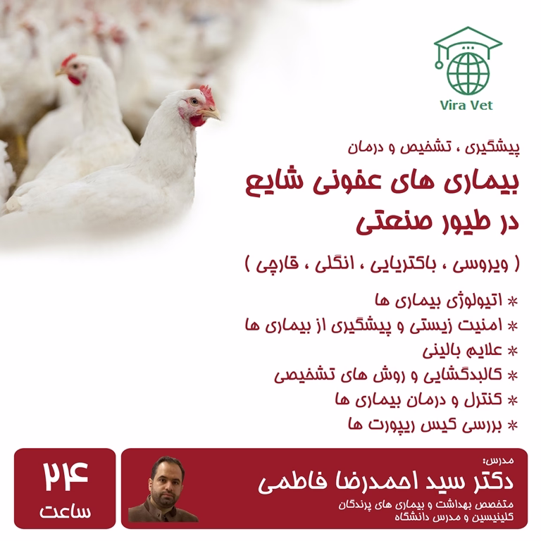 بیماری های عفونی شایع در طیور صنعتی Common Infectious Diseases in Poultry