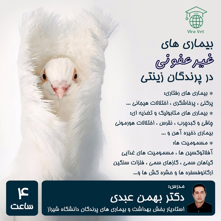 بیماری های غیرعفونی در پرندگان زینتی
