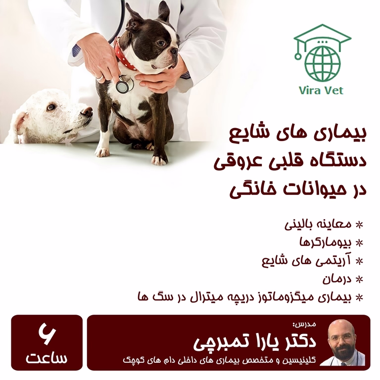بیماری های شایع دستگاه قلبی عروقی در حیوانات خانگی Common CardioVascular Diseases in Pets