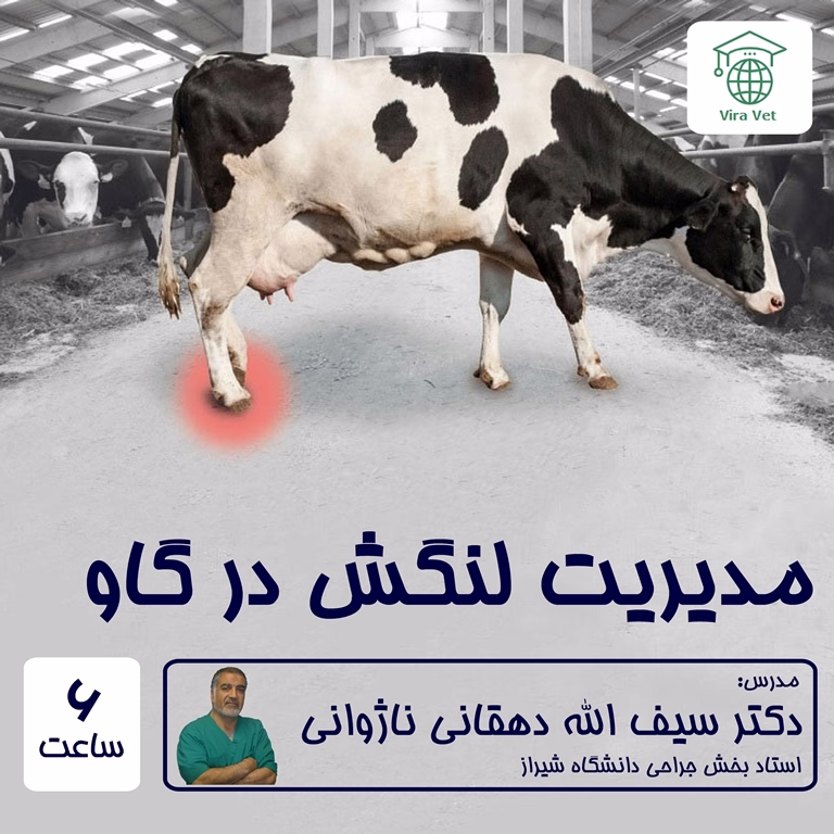 مدیریت لنگش در گاو