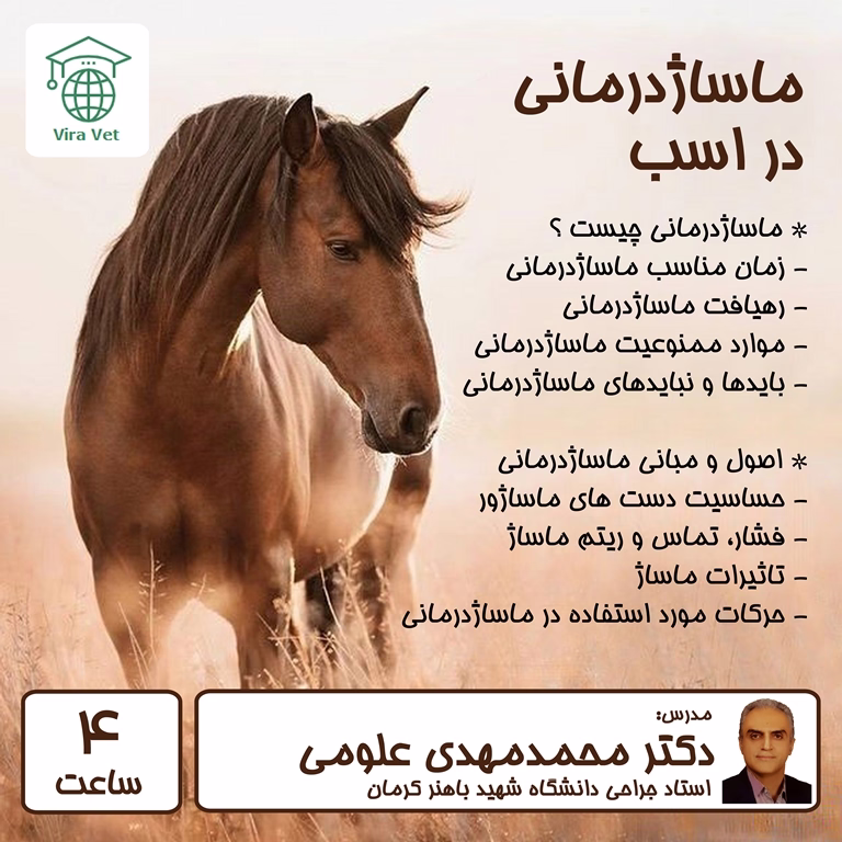 ماساژدرمانی در اسب
