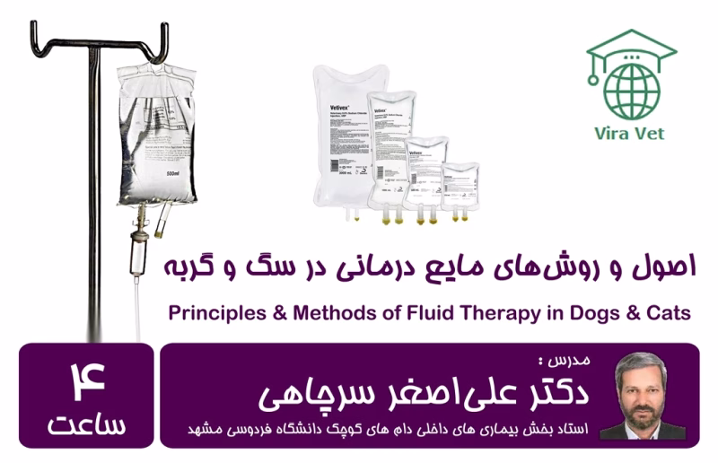 اصول و روش های مایع درمانی در سگ و گربه Principles & Methods of Fluid Therapy in Dogs & Cats