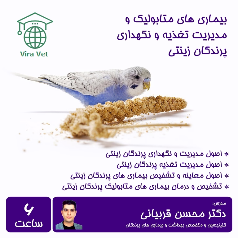 بیماری های متابولیک و مدیریت تغذیه و نگهداری پرندگان زینتی Metabolic Diseases & Management of Nutrition and Keeping Pet Birds