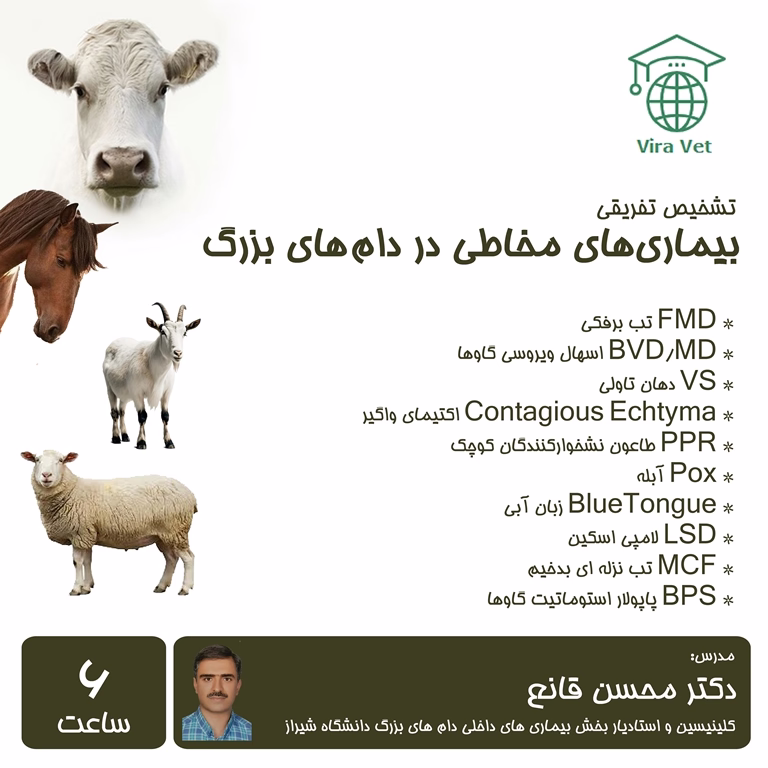 تشخیص تفریقی بیماری های مخاطی در دام های بزرگ Differential Diagnosis of Mucosal Diseases in Large Animals
