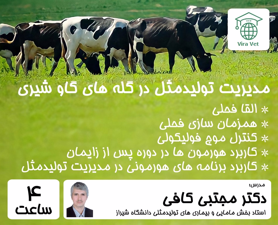 مدیریت تولیدمثل مدیریت تولیدمثل در گله های گاو شیری - Image 1