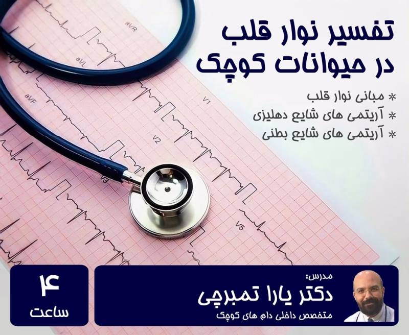 تفسیر نوار قلب در حیوانات کوچک
