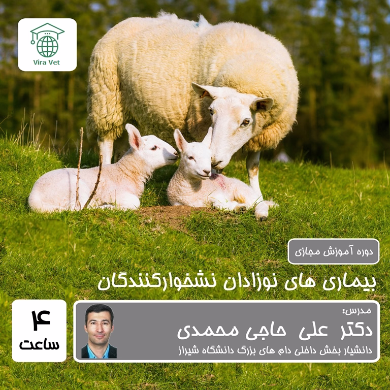 بیماری های نوزادان نشخوارکنندگان