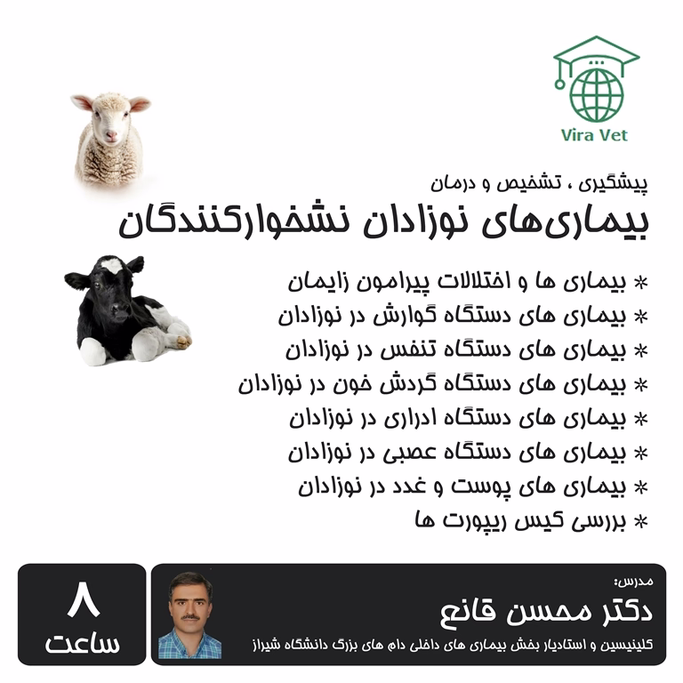 بیماری های نوزادان نشخوارکنندگان Neonatal Diseases in Ruminants