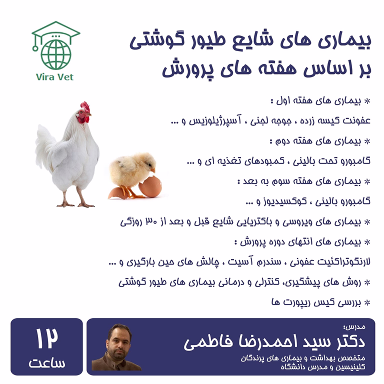 بیماری های شایع طیور گوشتی بر اساس هفته های پرورش Broilers Diseases Based on Weeks of Farming