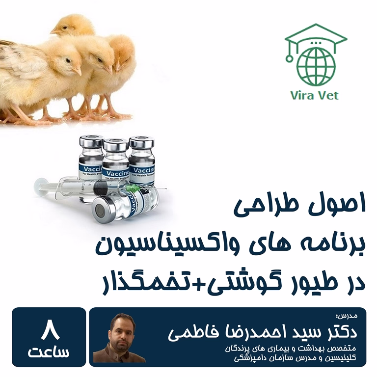 اصول طراحی برنامه های واکسیناسیون در طیور گوشتی+تخمگذار
