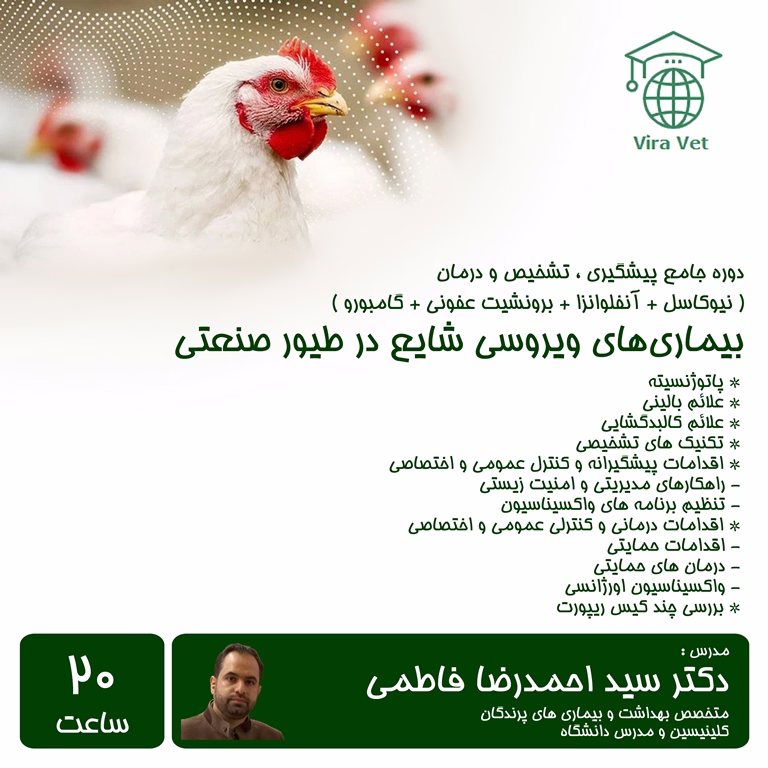 بیماری های ویروسی شایع در طیور صنعتی Common Viral Diseases in Poultry