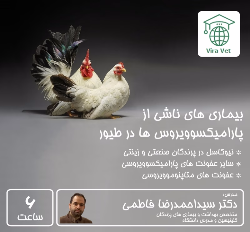 نیوکاسل و بیماری های ناشی از پارامیکسوویروس ها در طیور Diseases caused by Paramyxoviruses in Poultry