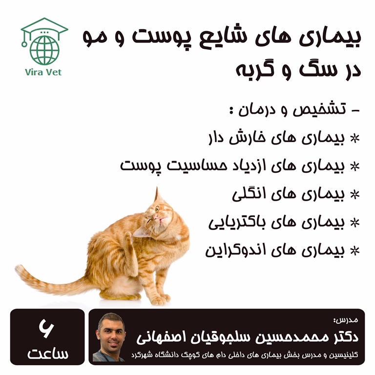 بیماری های شایع پوست و مو در سگ و گربه Common Skin & Hair Diseases in Dogs & Cats